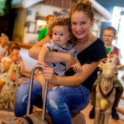 The Animal Carrousel